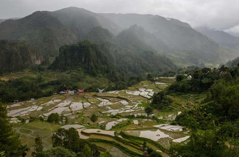 Anh Agung Parameswara có may mắn ghi lại  nghi lễ mai táng của người Torajan ở tỉnh Nma Sulawesi, Indonesia vào hồi tháng 8/2016.